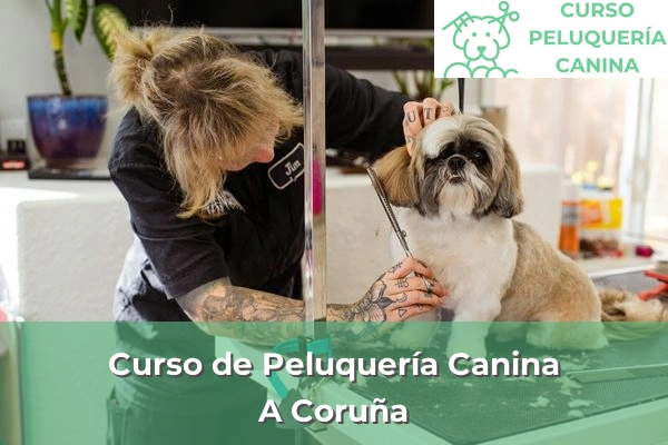 Curso de Peluquería Canina en A Coruña 4 Curso de Peluquería Canina en A Coruña