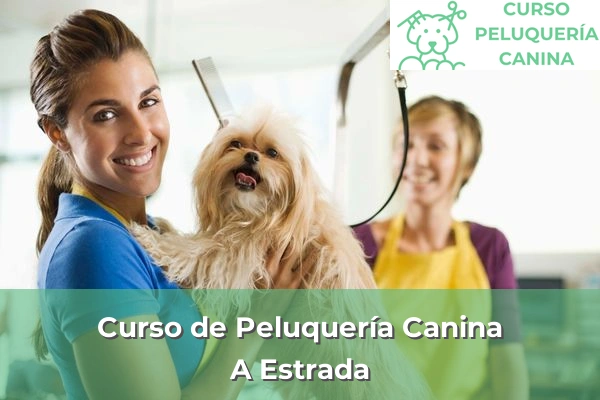 Curso de Peluquería Canina en A Estrada