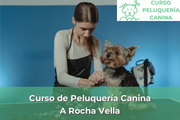 Curso de Peluquería Canina en A Coruña 6 Curso de Peluquería Canina en A Rocha Vella