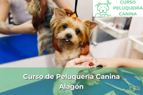 Curso de Peluquería Canina en Alagón