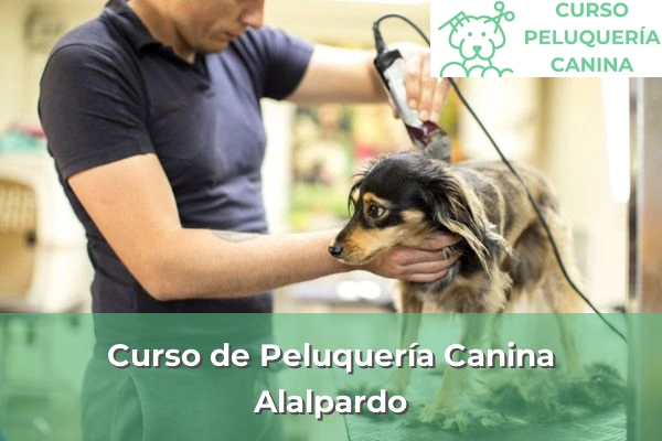 Curso de Peluquería Canina en Alalpardo