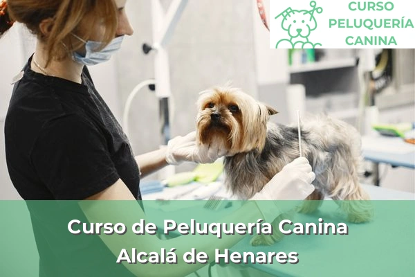 Curso de Peluquería Canina en Alcalá de Henares