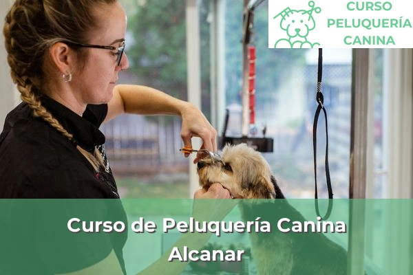 Curso de Peluquería Canina en Alcanar