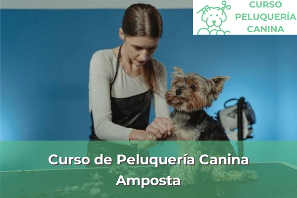 Curso de Peluquería Canina en Amposta