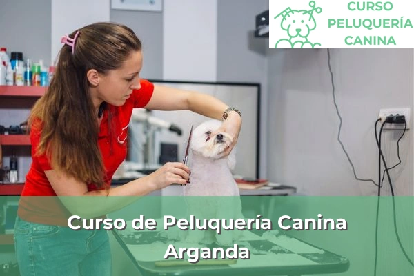 Curso de Peluquería Canina en Arganda