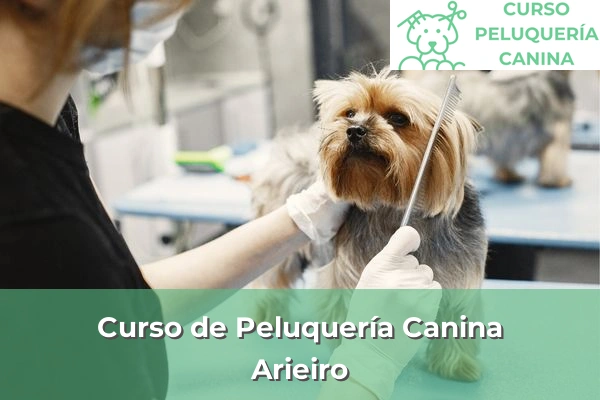 Curso de Peluquería Canina en Arieiro