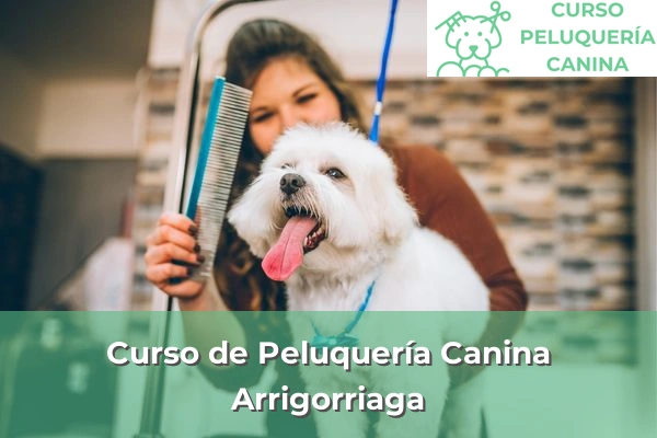 Curso de Peluquería Canina en Arrigorriaga