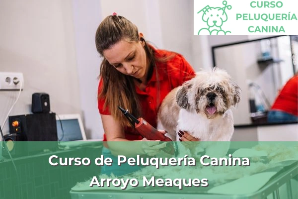 Curso de Peluquería Canina en Arroyo Meaques