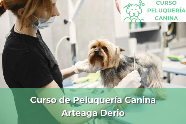 Curso de Peluquería Canina en Arteaga