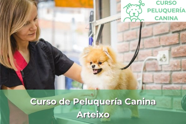 Curso de Peluquería Canina en A Coruña 9 Curso de Peluquería Canina en Arteixo