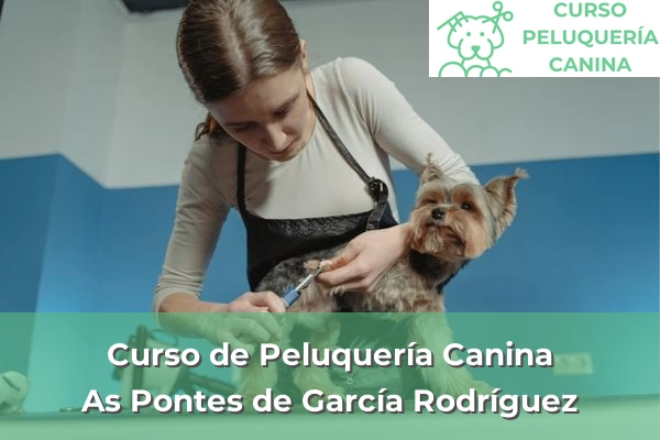 Curso de Peluquería Canina en A Coruña 10 Curso de Peluquería Canina en As Pontes de García Rodríguez