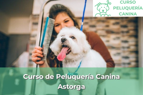 Curso de Peluquería Canina en Astorga