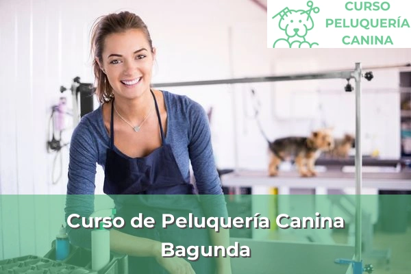 Curso de Peluquería Canina en Bagunda