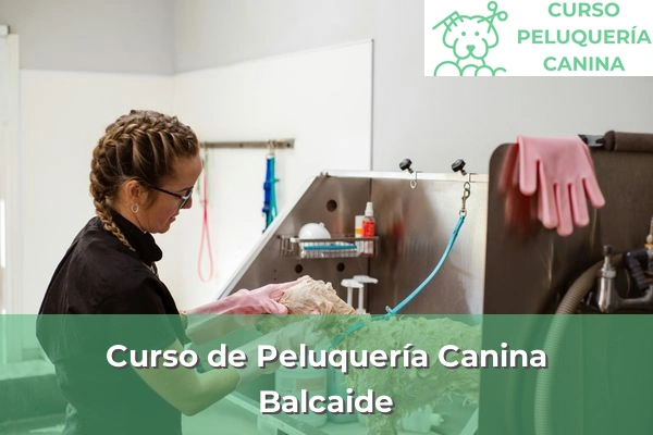 Curso de Peluquería Canina en A Coruña 12 Curso de Peluquería Canina en Balcaide