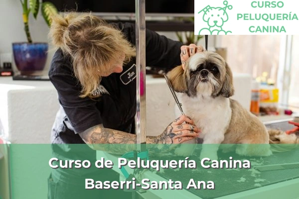 Curso de Peluquería Canina en Baserri-Santa Ana