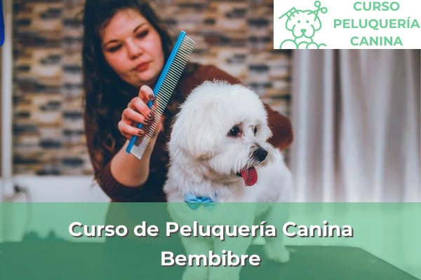 Curso de Peluquería Canina en Bembibre