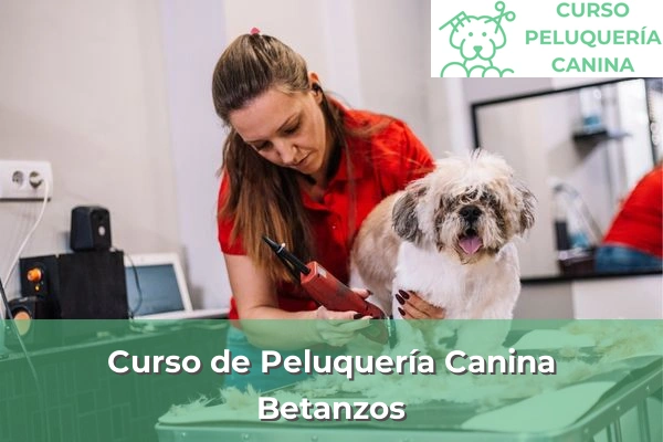 Curso de Peluquería Canina en A Coruña 14 Curso de Peluquería Canina en Betanzos
