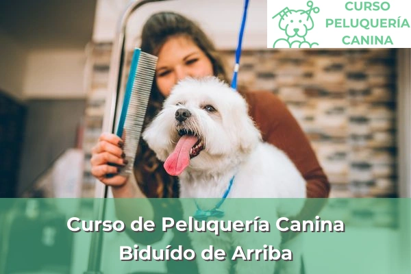 Curso de Peluquería Canina en A Coruña 15 Curso de Peluquería Canina en Biduído de Arriba