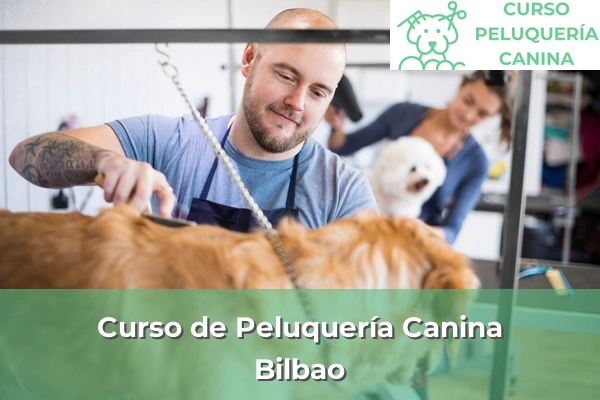 Curso de Peluquería Canina en Bilbao
