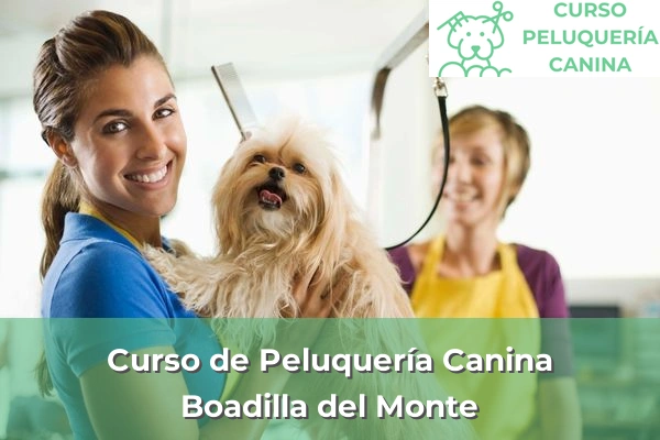 Curso de Peluquería Canina en Boadilla del Monte