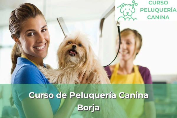 Curso de Peluquería Canina en Borja