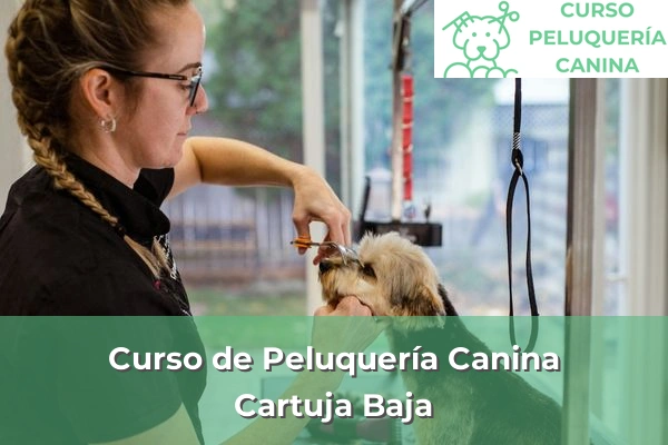 Curso de Peluquería Canina en Cartuja Baja