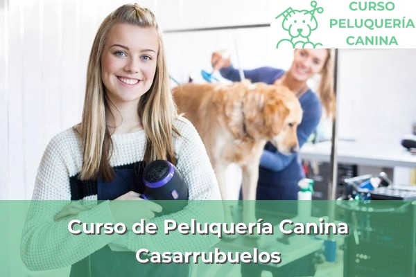 Curso de Peluquería Canina en Casarrubuelos