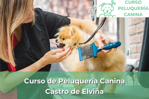 Curso de Peluquería Canina en A Coruña 21 Curso de Peluquería Canina en Castro de Elviña