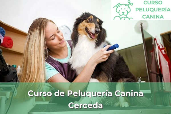 Curso de Peluquería Canina en Cerceda