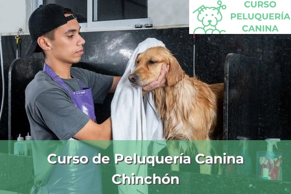 Curso de Peluquería Canina en Chinchón
