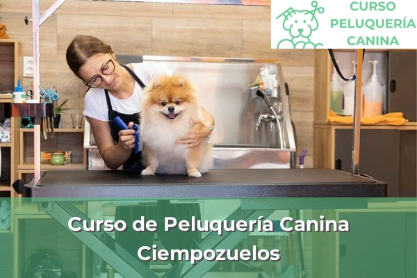 Curso de Peluquería Canina en Ciempozuelos