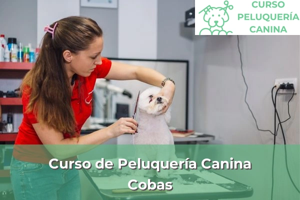 Curso de Peluquería Canina en A Coruña 24 Curso de Peluquería Canina en Cobas