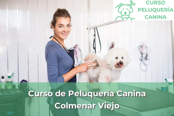 Curso de Peluquería Canina en Colmenar Viejo