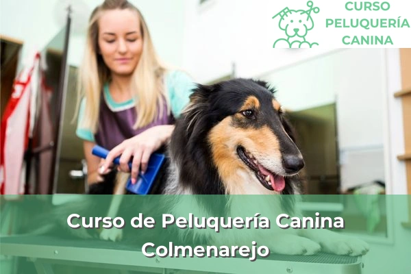 Curso de Peluquería Canina en Colmenarejo