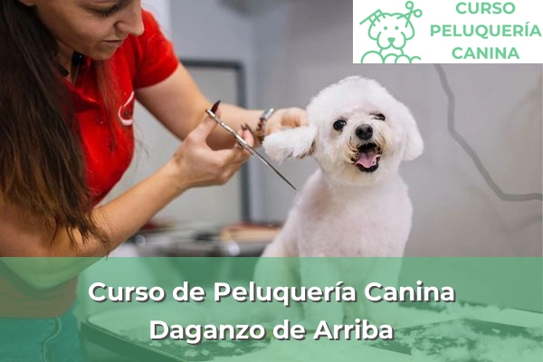 Curso de Peluquería Canina en Daganzo de Arriba