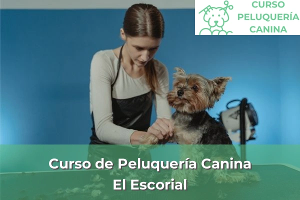 Curso de Peluquería Canina en El Escorial