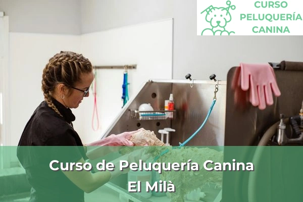 Curso de Peluquería Canina en El Milà