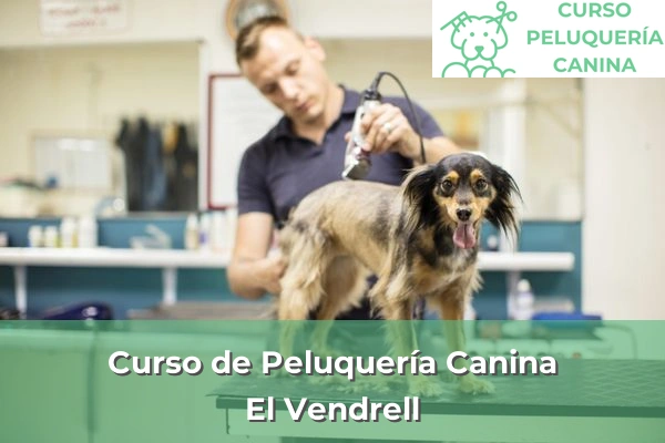 Curso de Peluquería Canina en El Vendrell