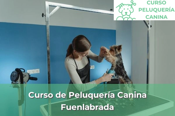 Curso de Peluquería Canina en Fuenlabrada
