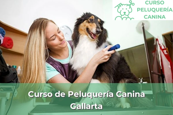 Curso de Peluquería Canina en Gallarta