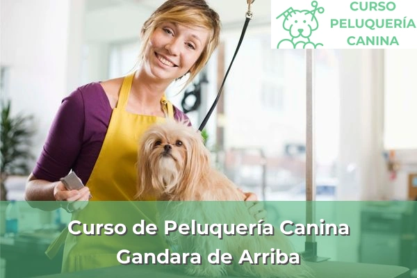 Curso de Peluquería Canina en A Coruña 31 Curso de Peluquería Canina en Gandara de Arriba