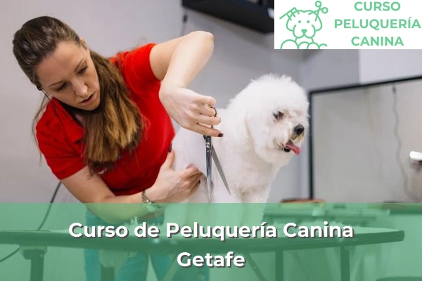 Curso de Peluquería Canina en Getafe