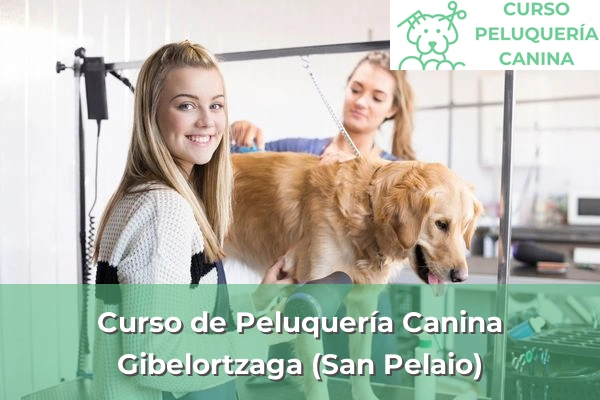 Curso de Peluquería Canina en Gibelortzaga (San Pelaio)