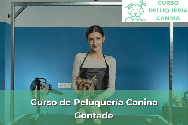 Curso de Peluquería Canina en A Coruña 32 Curso de Peluquería Canina en Gontade