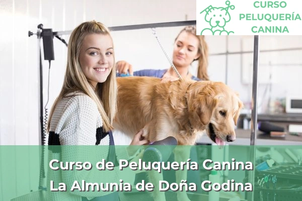 Curso de Peluquería Canina en La Almunia de Doña Godina