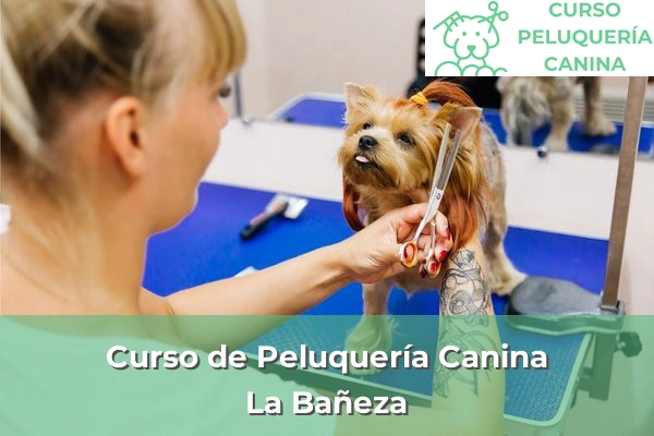 Curso de Peluquería Canina en La Bañeza