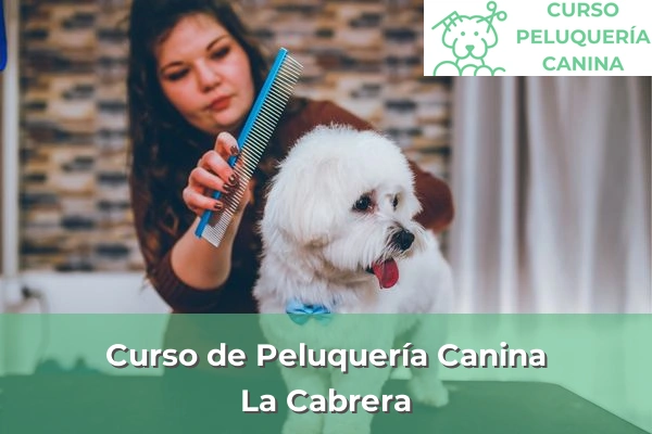 Curso de Peluquería Canina en La Cabrera