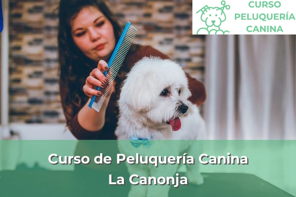 Curso de Peluquería Canina en La Canonja