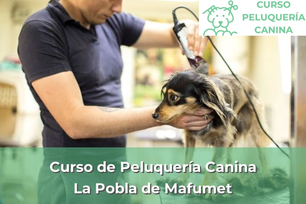 Curso de Peluquería Canina en La Pobla de Mafumet