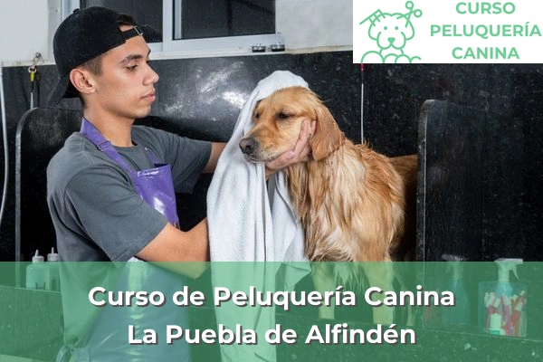 Curso de Peluquería Canina en La Puebla de Alfindén